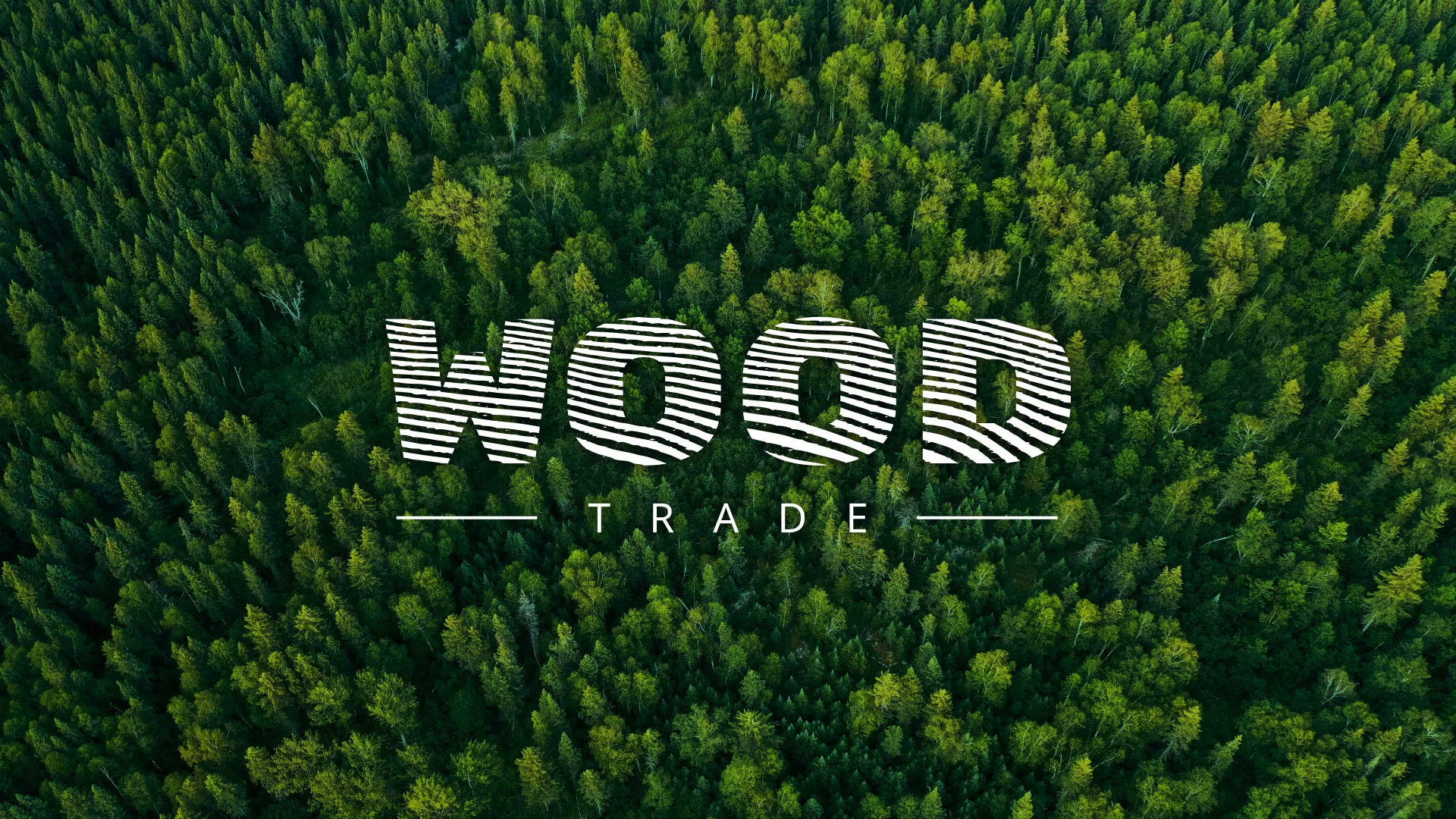 Разработка интернет-магазина компании «Wood Trade» в Демидове