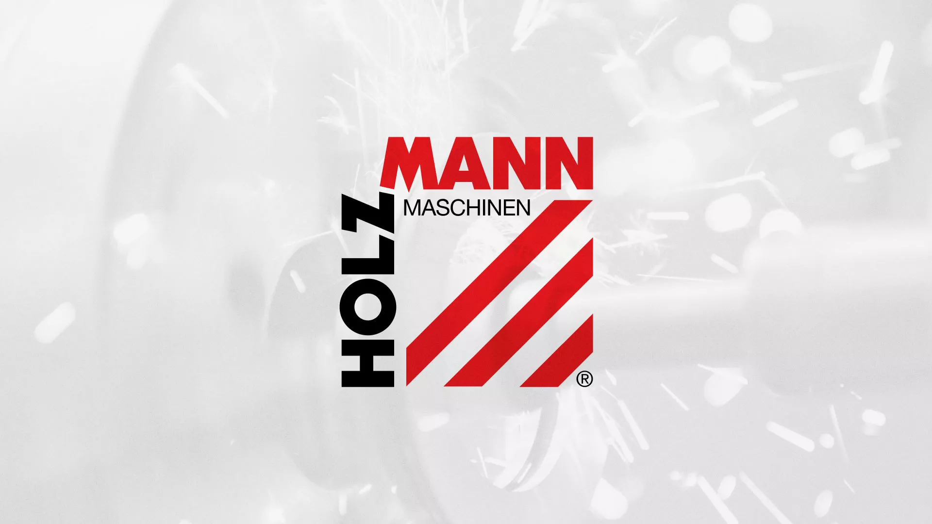 Создание сайта компании «HOLZMANN Maschinen GmbH» в Демидове