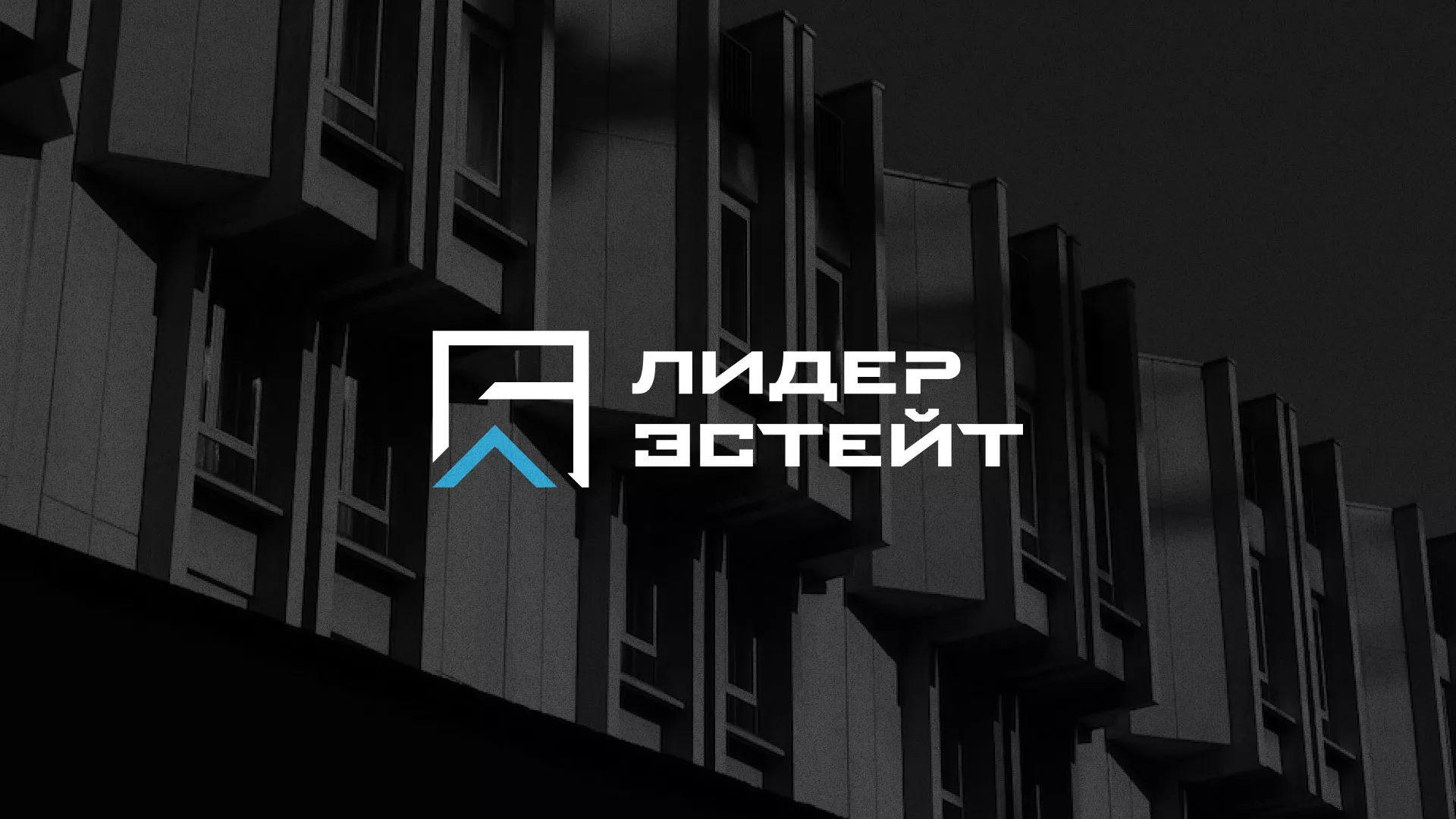 Разработка логотипа агентства недвижимости «Лидер Эстейт» в Демидове